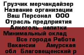 Грузчик-мерчандайзер › Название организации ­ Ваш Персонал, ООО › Отрасль предприятия ­ Алкоголь, напитки › Минимальный оклад ­ 17 000 - Все города Работа » Вакансии   . Амурская обл.,Благовещенский р-н